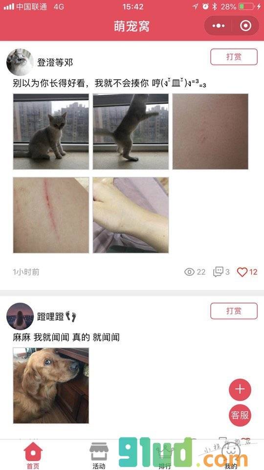 萌宠窝doggie小程序截图