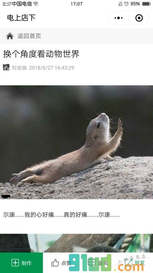 电上店下小程序截图