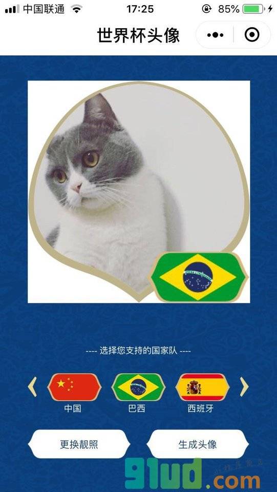 世界杯头像go小程序截图