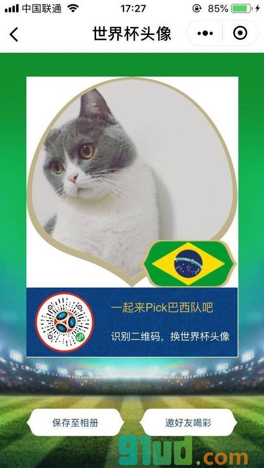 世界杯头像go小程序截图