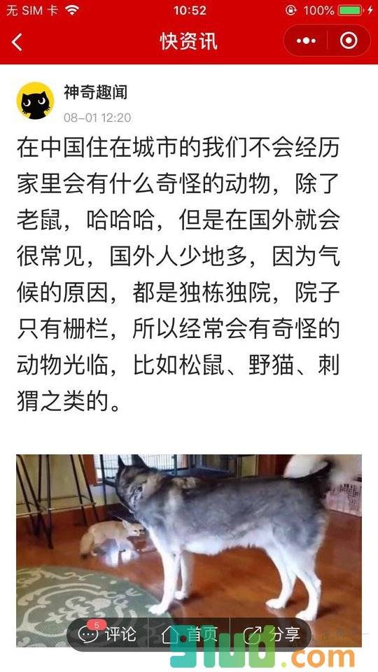 快资讯lite小程序截图
