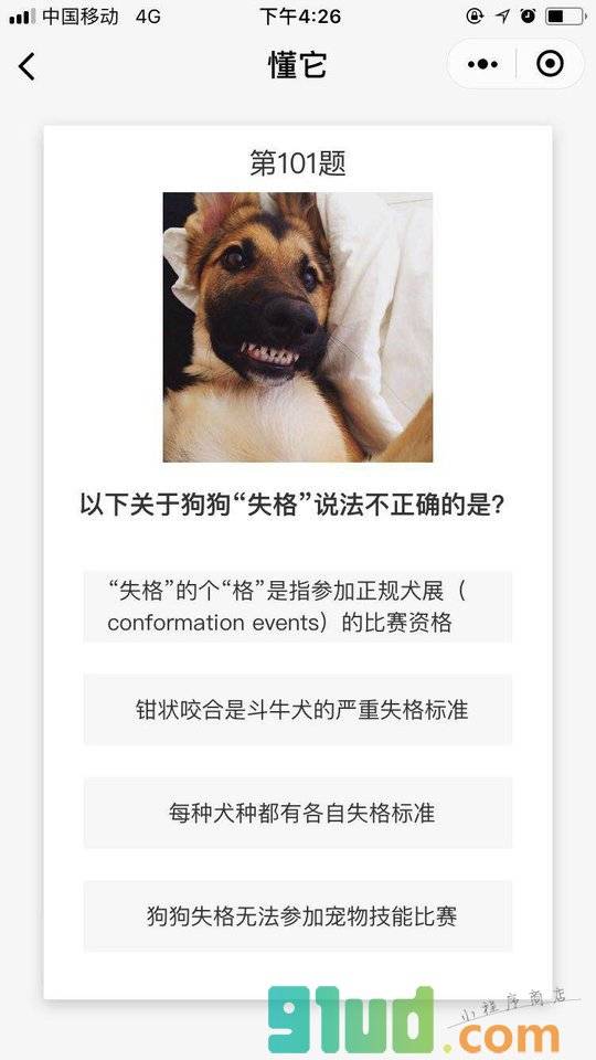 懂它小程序截图