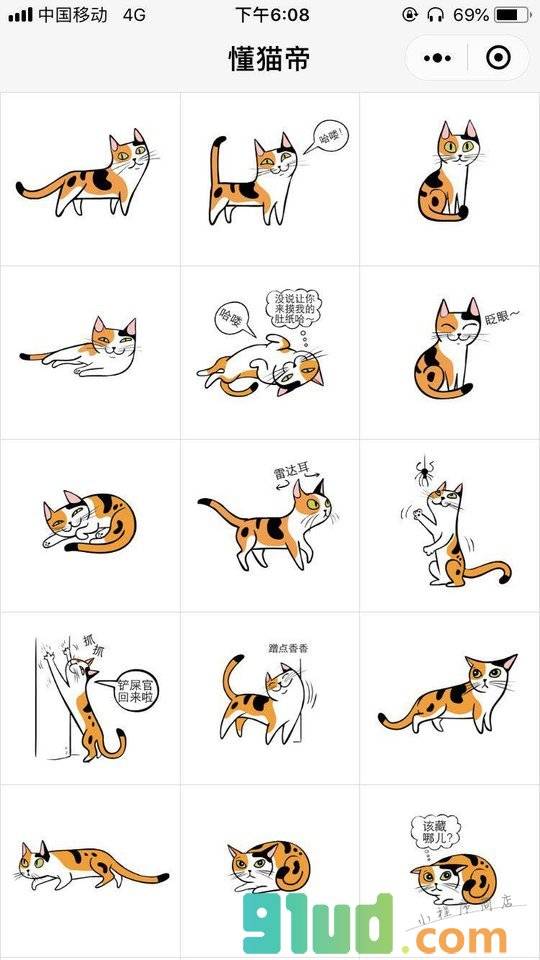 懂猫帝小程序截图