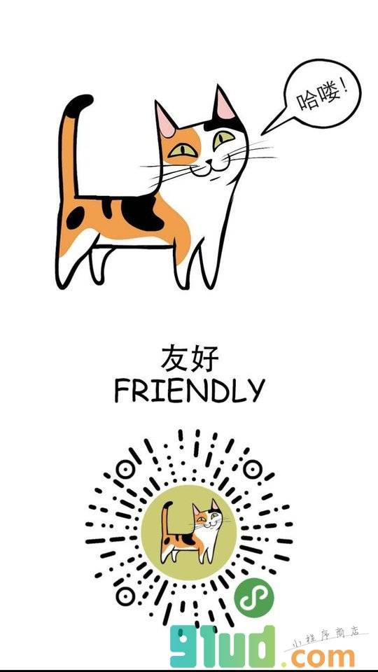 懂猫帝小程序截图
