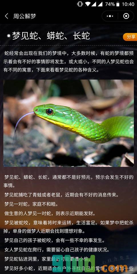 周公解梦分析大全小程序截图