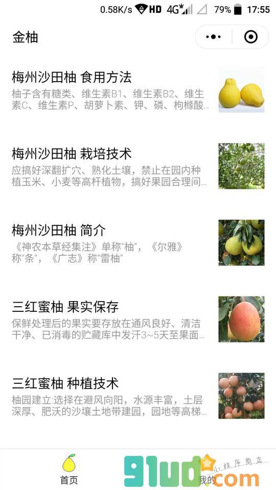 金柚小程序截图