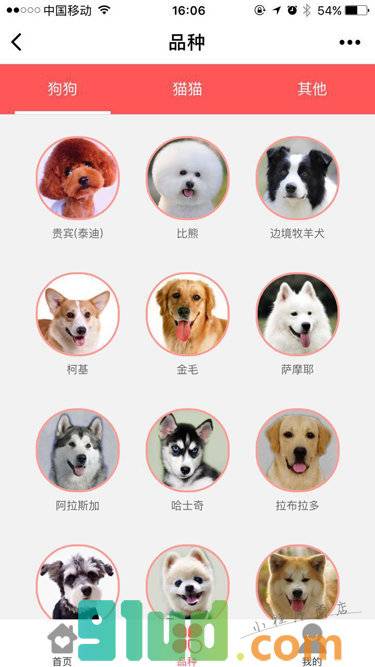 买一只小程序截图