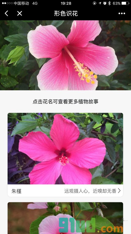 形色识花+小程序截图