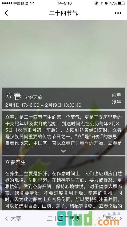 二十四节气查询小程序截图