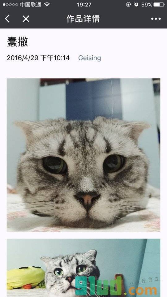 蜂鸟影赛小程序截图