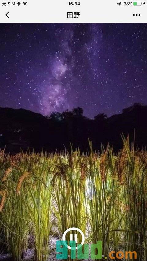 浴音阁小程序截图