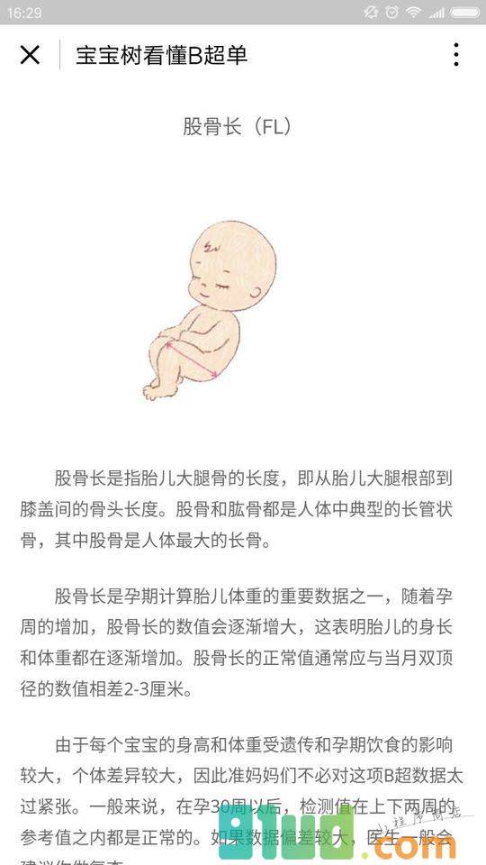 宝宝树看懂B超单小程序截图
