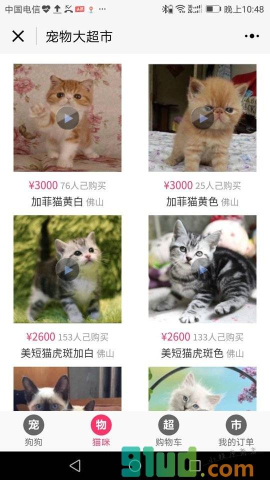 宠物大超市小程序截图