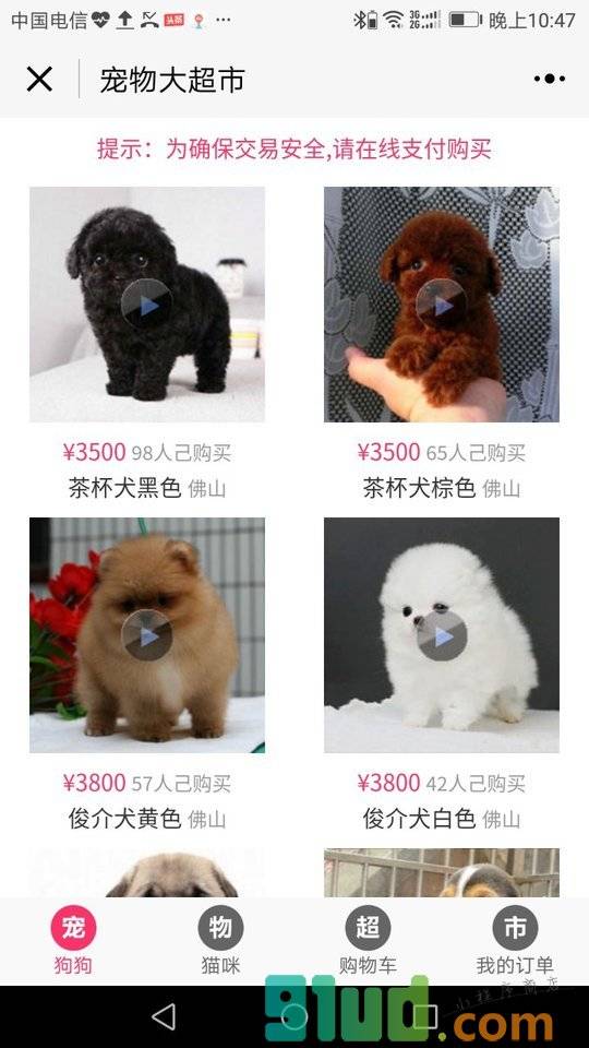 宠物大超市小程序截图