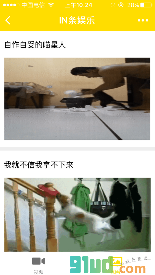 IN条娱乐小程序截图