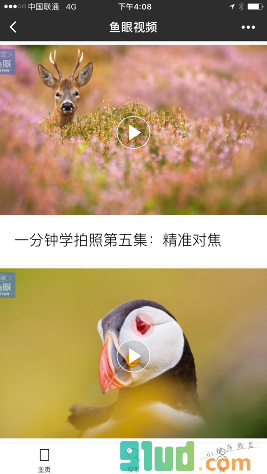 鱼眼视频V小程序截图