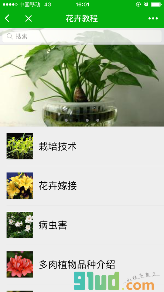 花卉盆景宝典小程序截图