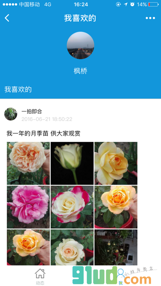 枫桥居花卉小程序截图