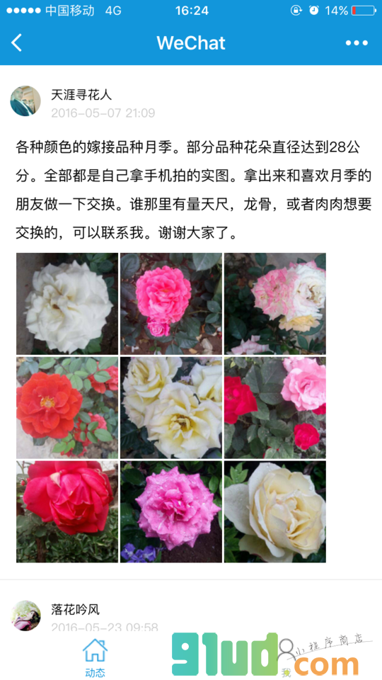 枫桥居花卉小程序截图