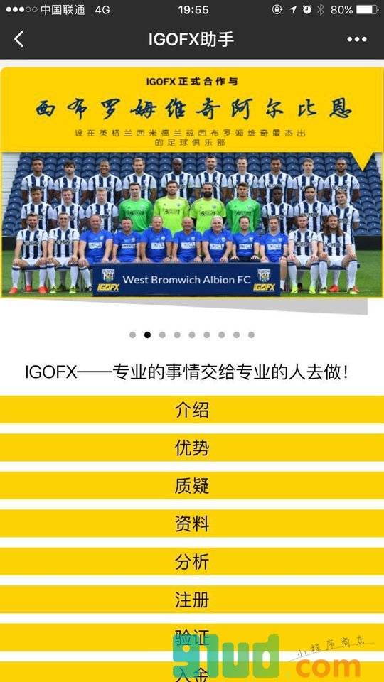 IGOFX助手小程序截图