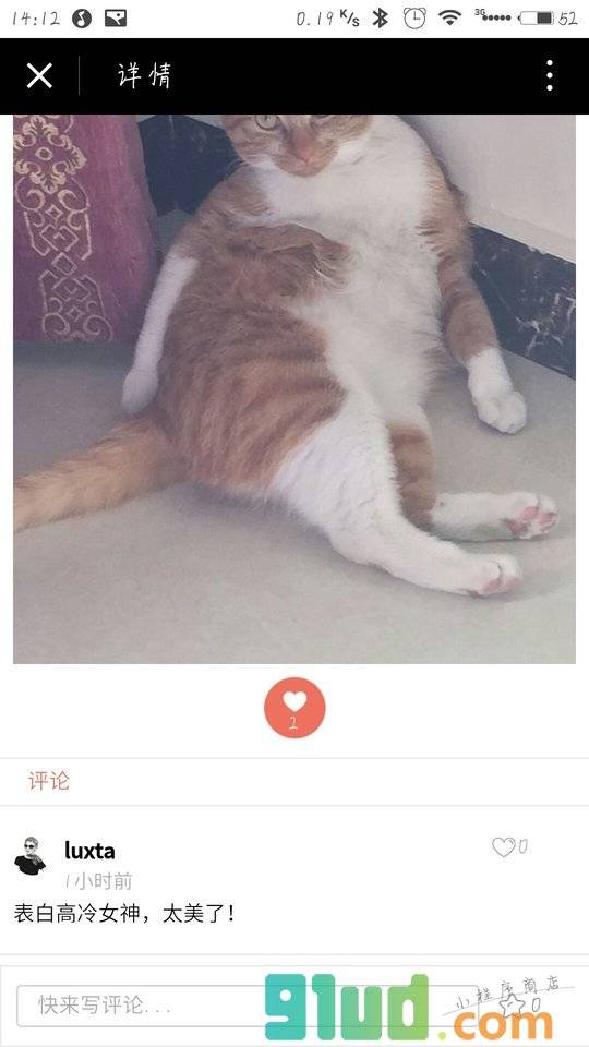 猫来了的喵星球小程序截图