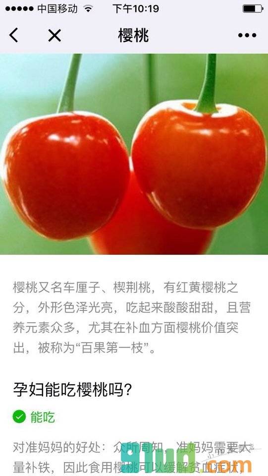 孕妈饮食小程序截图