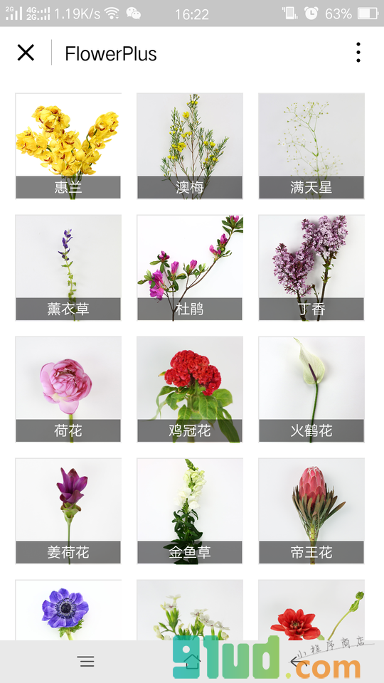 花加FlowerPlus小程序截图
