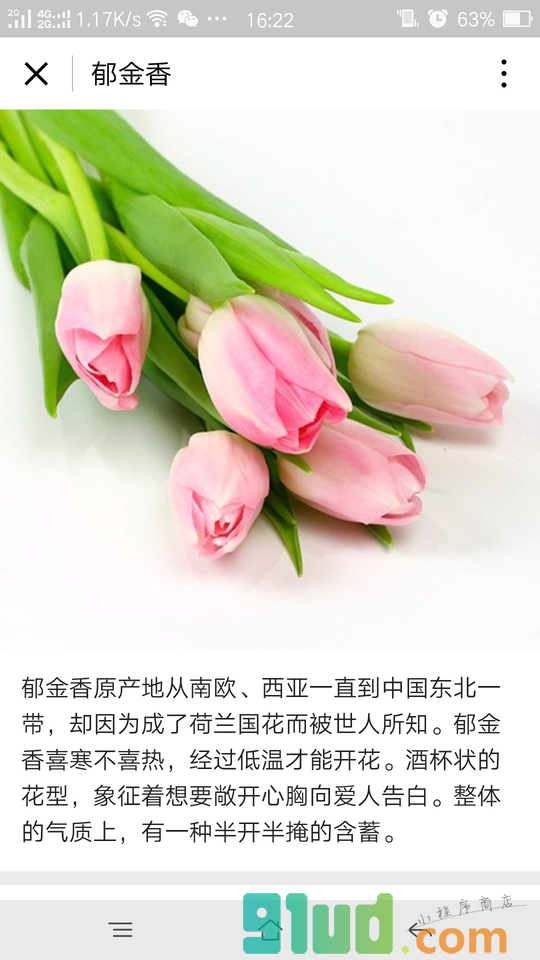 花加FlowerPlus小程序截图