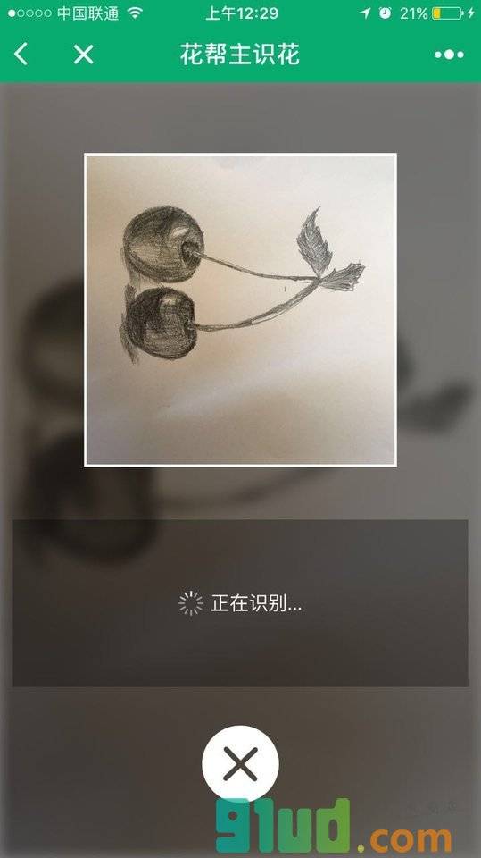 花帮主识花小程序截图