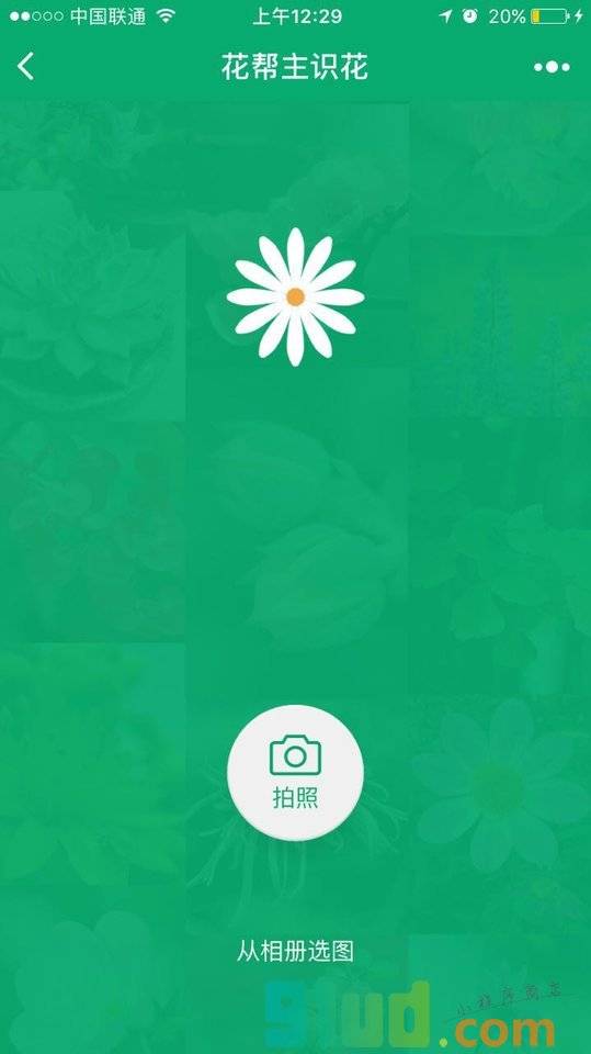 花帮主识花小程序截图