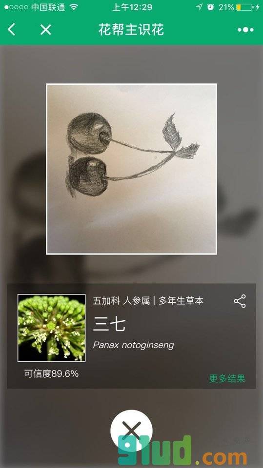 花帮主识花小程序截图
