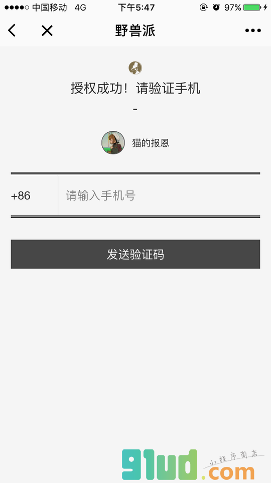 野兽派小程序截图