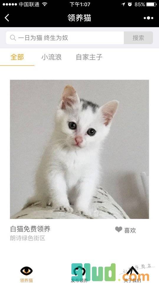领养猫小程序截图