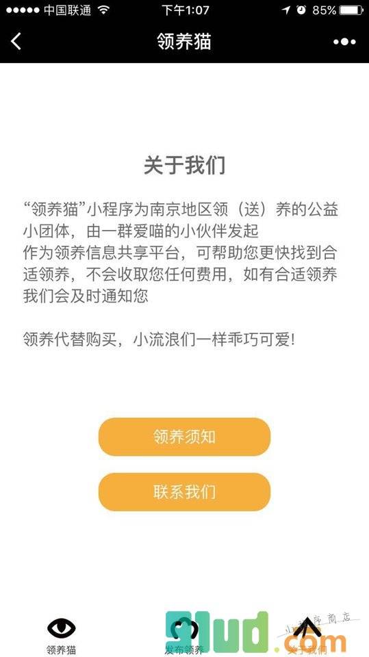领养猫小程序截图