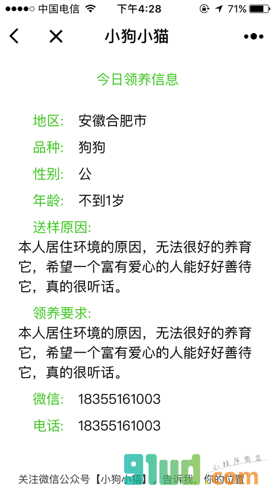 领养小猫小狗小程序截图