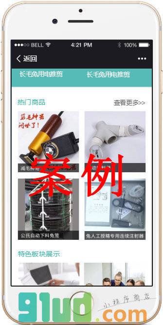 互联网+时代丨开发微程序小程序截图