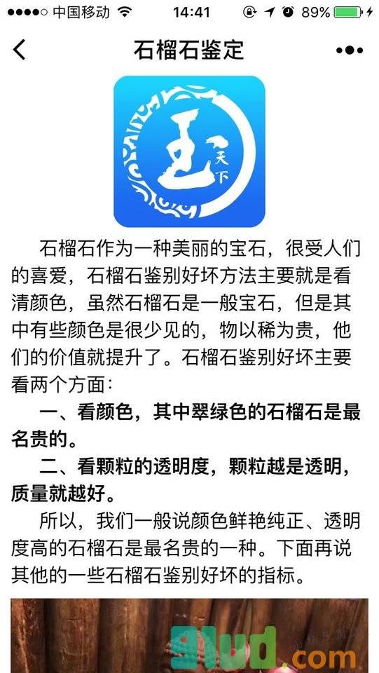 石榴石鉴定小程序截图