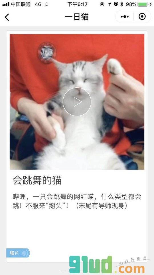 一日猫小卡片小程序截图
