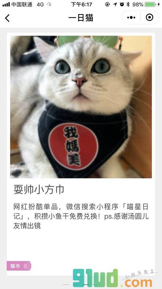 一日猫小卡片小程序截图