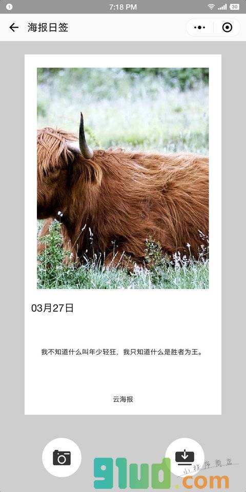 云海报小程序截图
