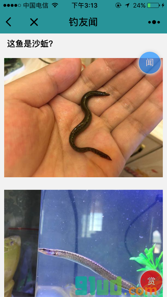 钓鱼极客小程序截图