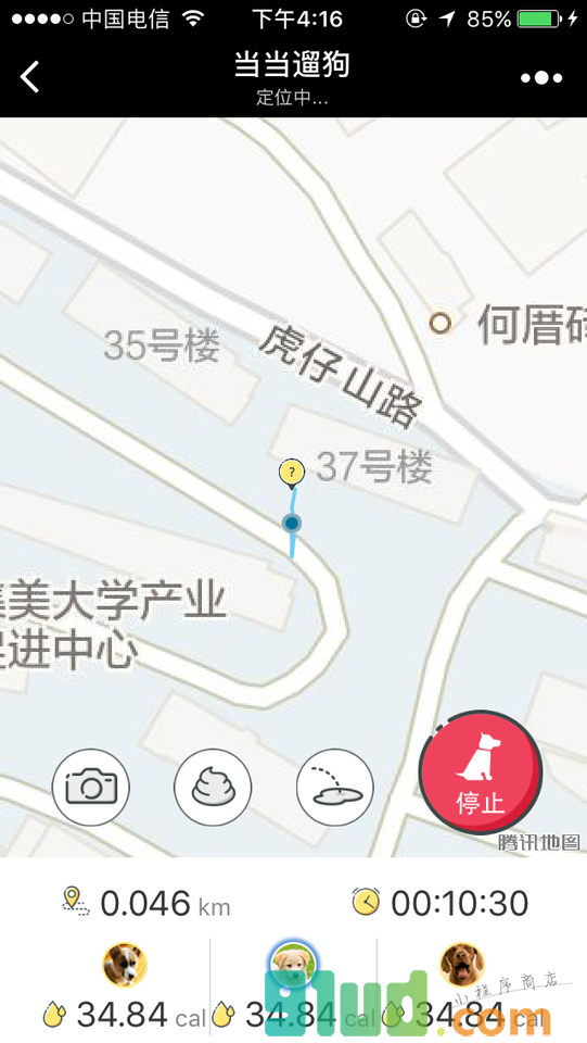 当当遛狗小程序截图