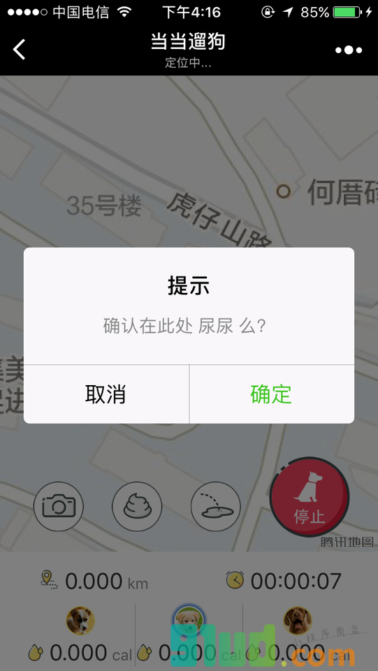 当当遛狗小程序截图