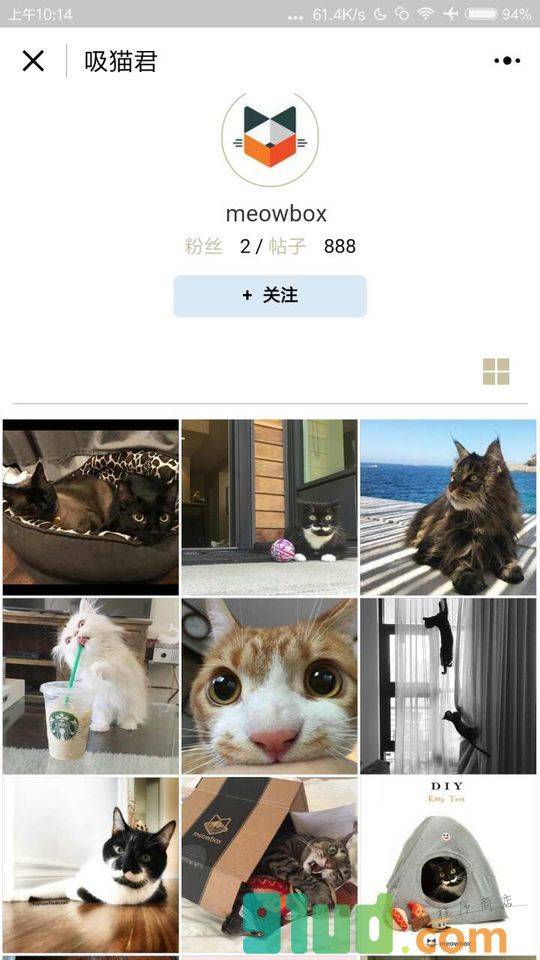 吸猫君小程序截图
