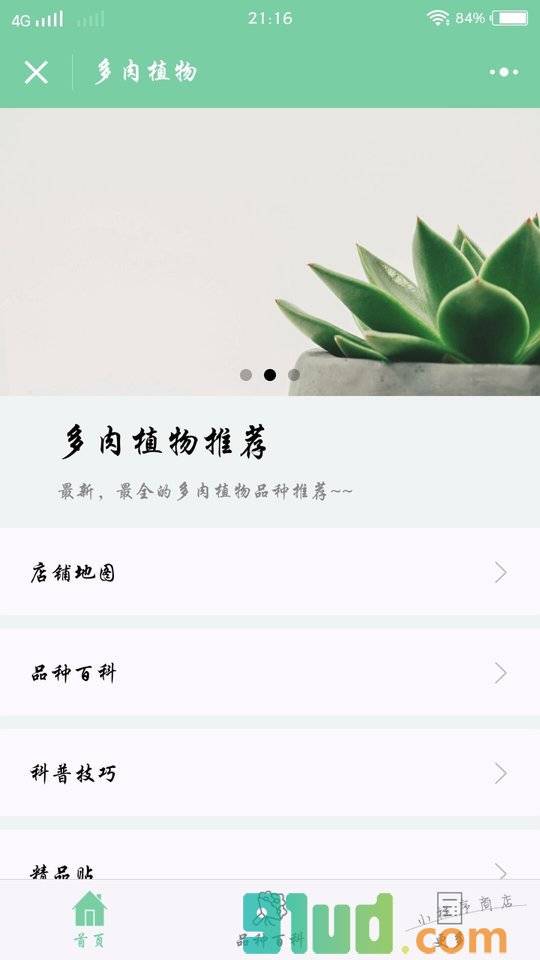 多肉植物推荐小程序截图