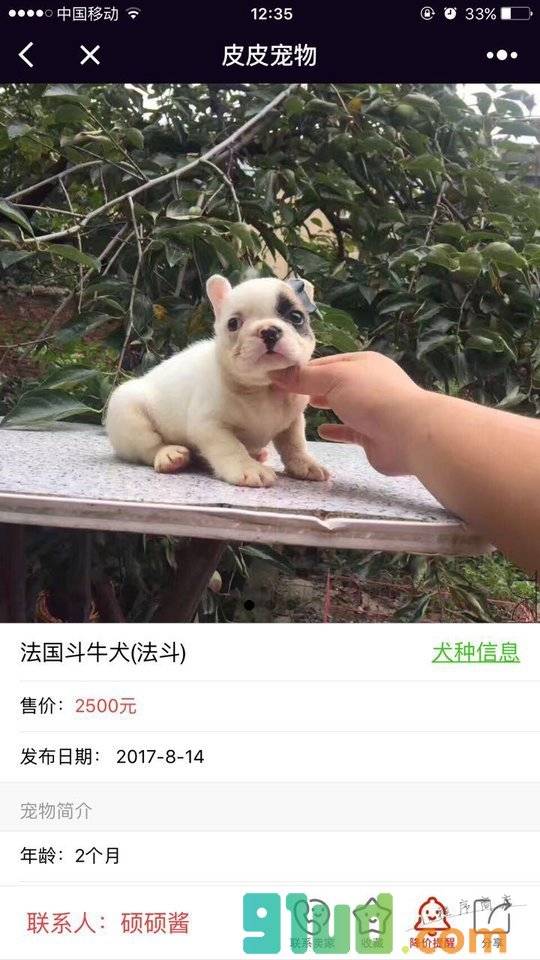 皮皮宠物小程序截图