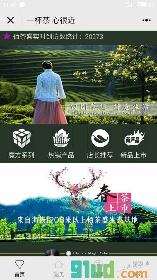 佰茶盛100TEAS品牌茶叶店小程序截图