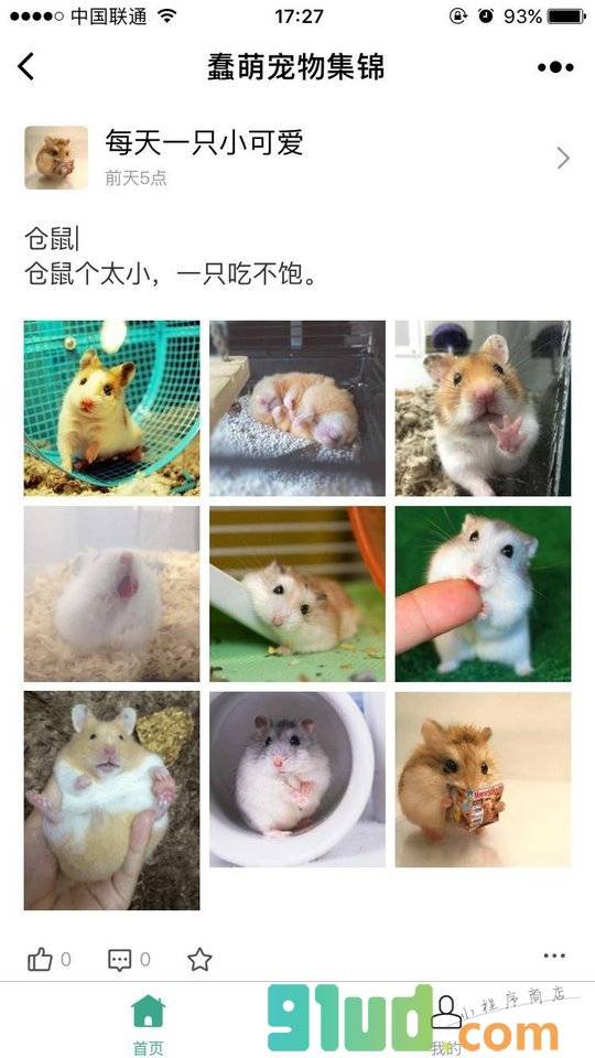 蠢萌宠物集锦小程序截图