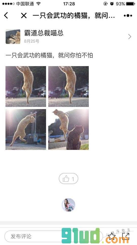 蠢萌宠物集锦小程序截图