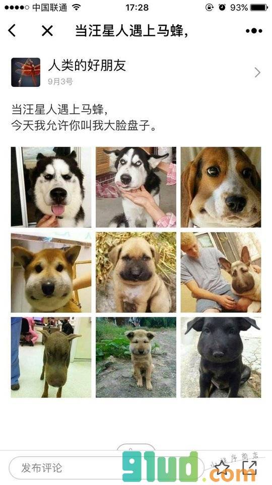 蠢萌宠物集锦小程序截图